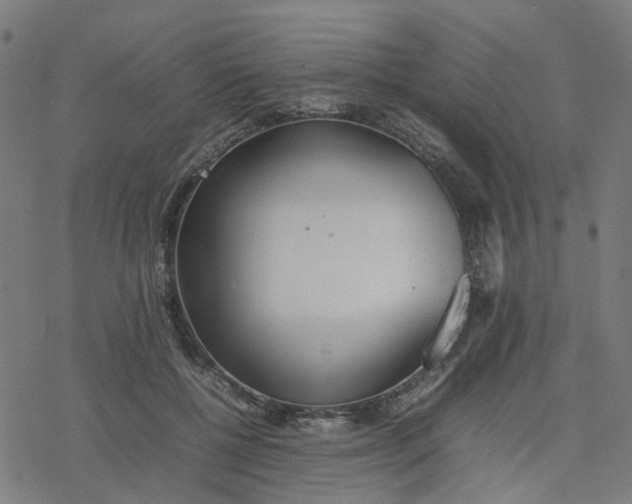 X0000077280552200611101320