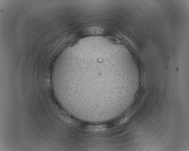 X0000077280553200611101320