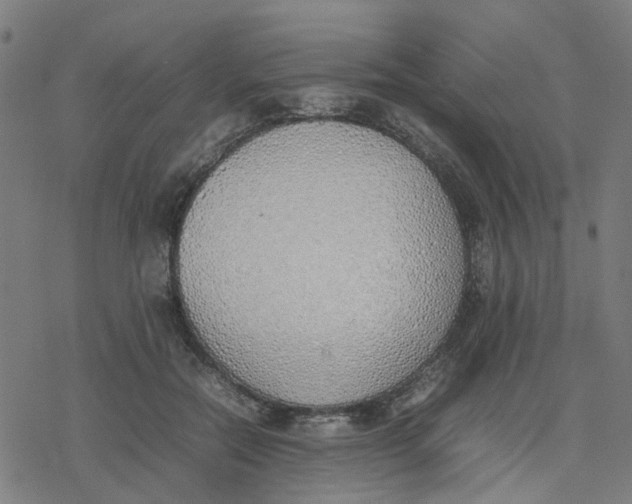 X0000077280554200611101320