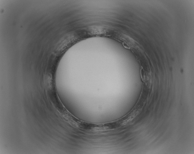 X0000077280556200611101320