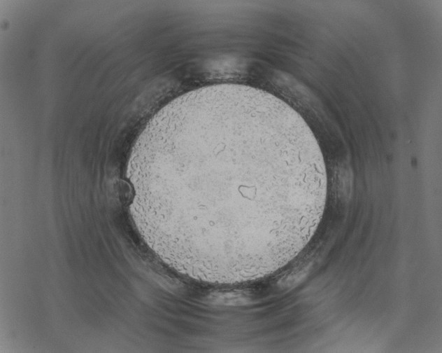 X0000077280557200611101320