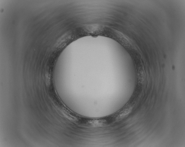 X0000077280558200611101320