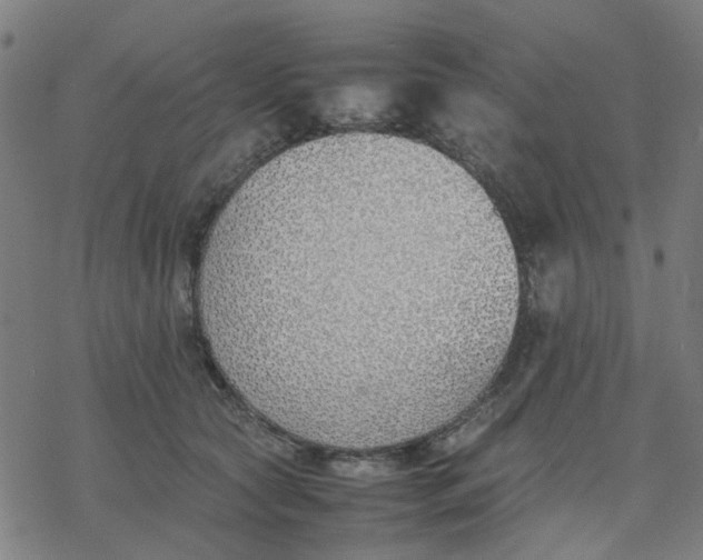 X0000077280561200611101321