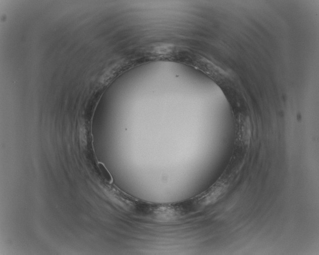 X0000077280562200611101321