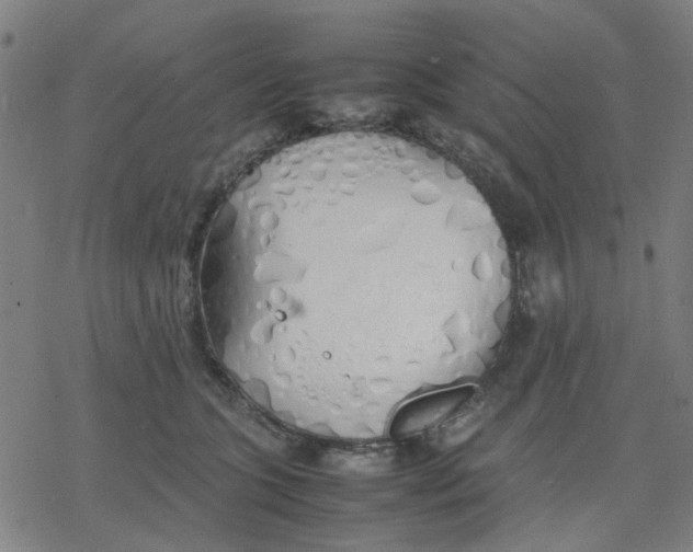 X0000077280563200611101321