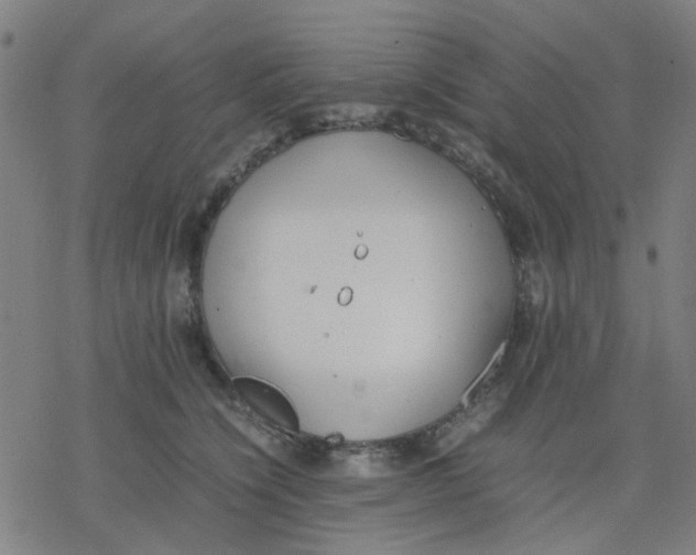 X0000077280564200611101321