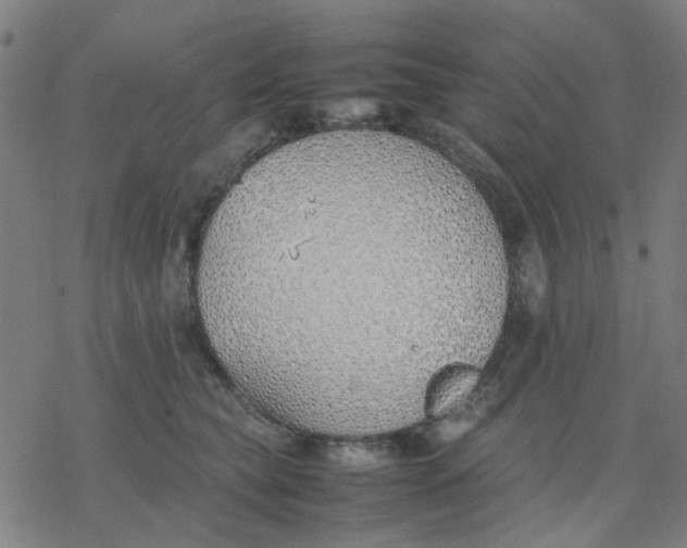 X0000077280565200611101321