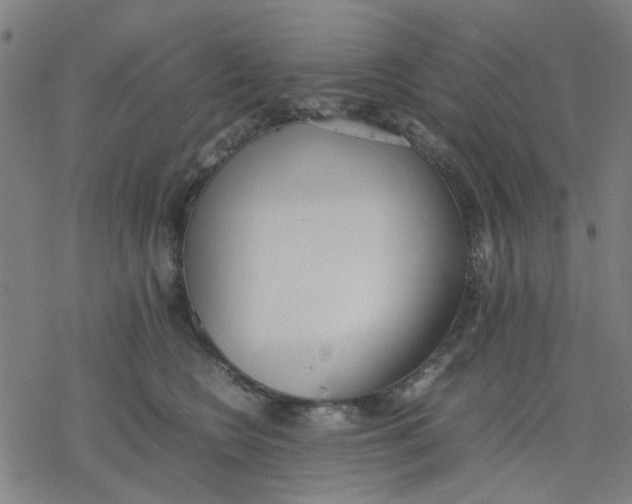 X0000077280566200611101321