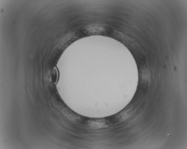 X0000077280567200611101321