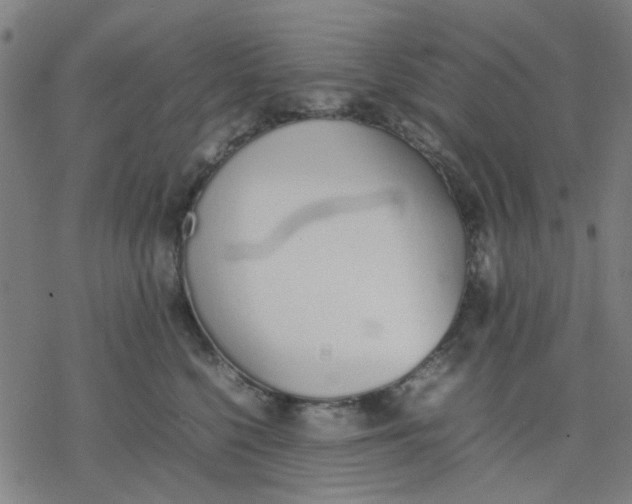 X0000077280568200611101321