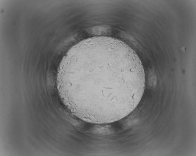 X0000077280569200611101321