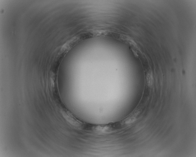 X0000077280570200611101321