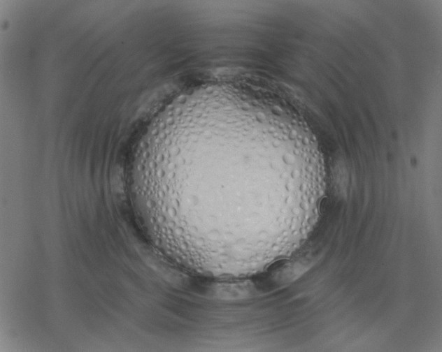 X0000077280571200611101321