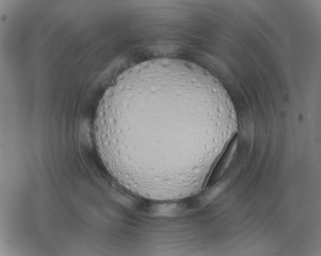 X0000077280575200611101321