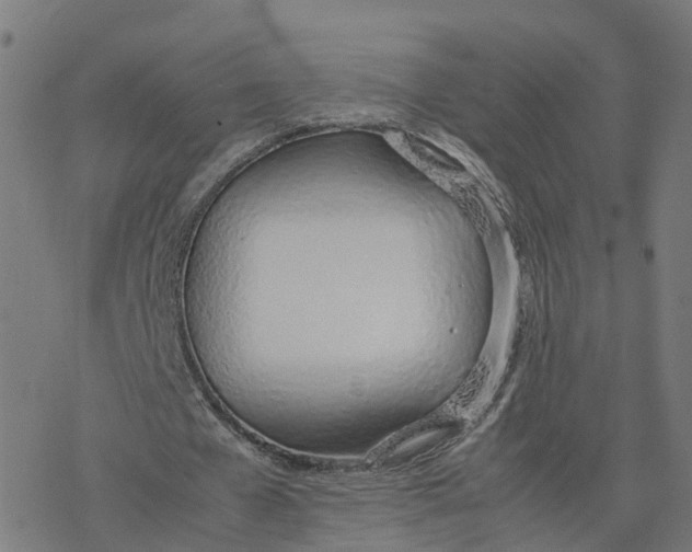 X0000077280577200611101320