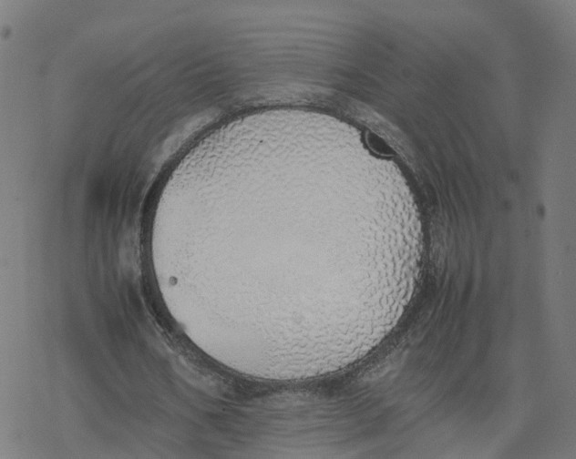 X0000077280578200611101320