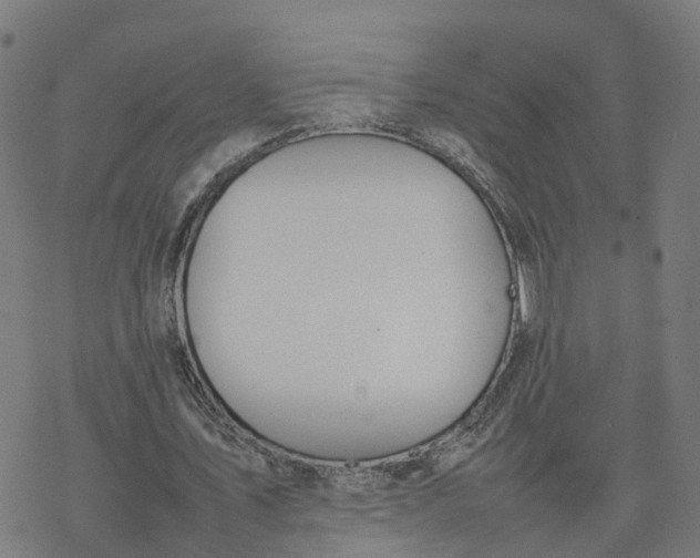 X0000077280579200611101320