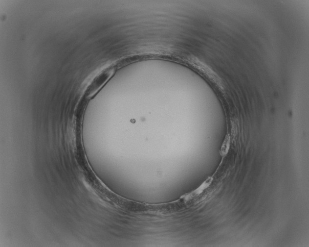 X0000077280580200611101320