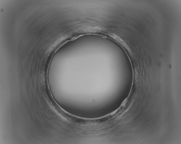 X0000077280581200611101320