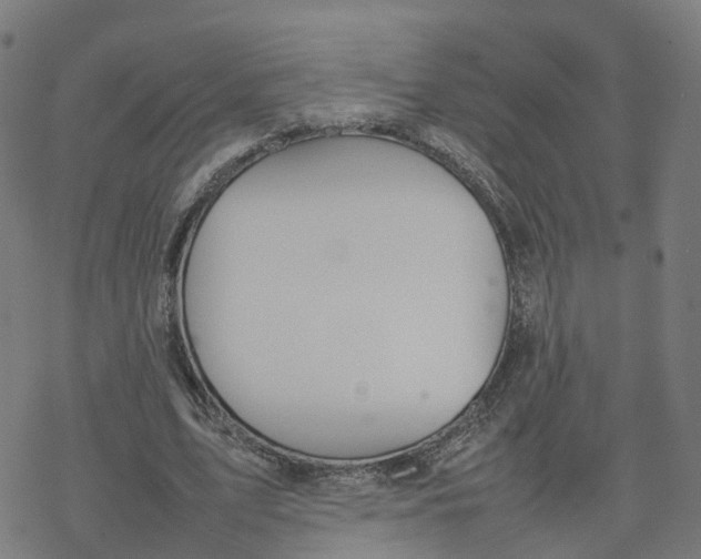 X0000077280583200611101320