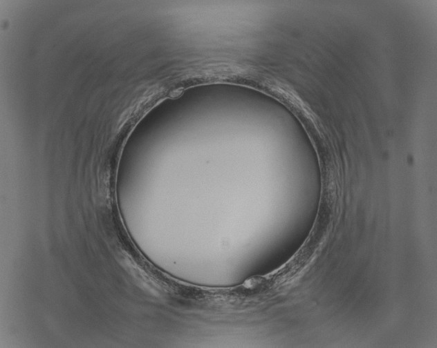 X0000077280585200611101320