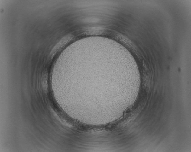 X0000077280586200611101320