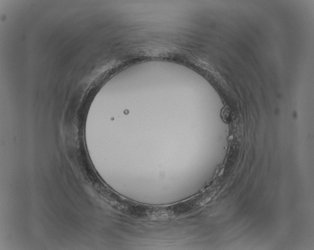 X0000077280587200611101320