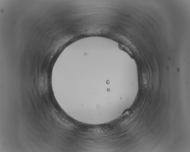 X0000077280588200611101320