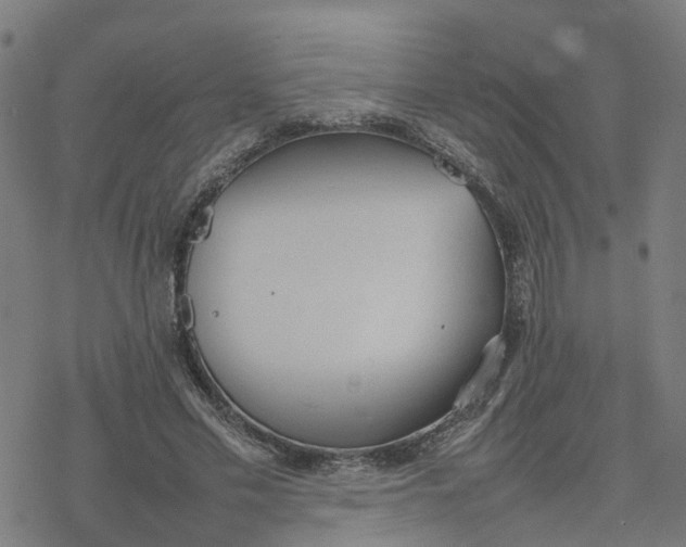 X0000077280589200611101320