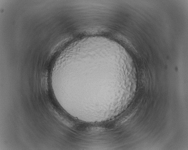 X0000077280590200611101320