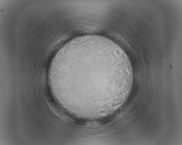 X0000077280591200611101320