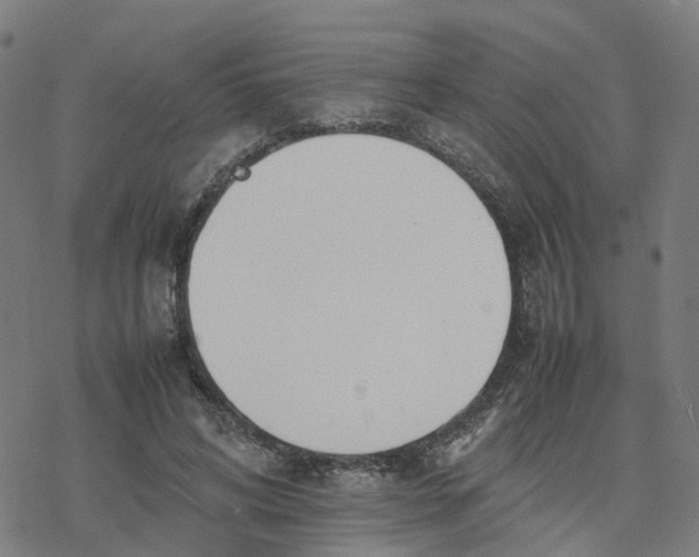 X0000077280592200611101320