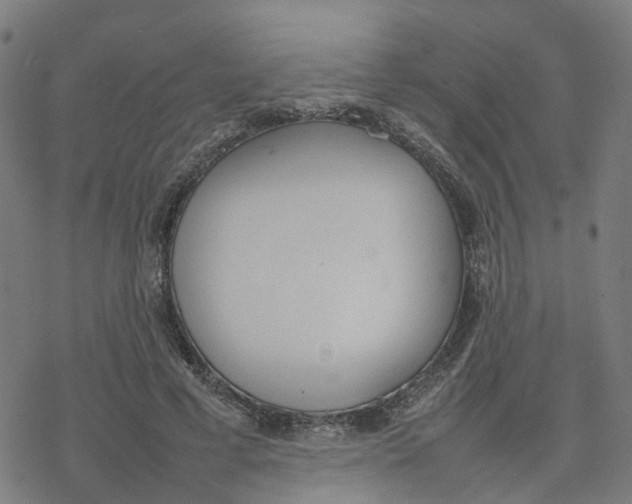 X0000077280593200611101320