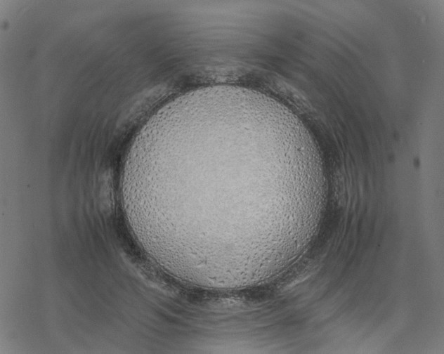 X0000077280594200611101320