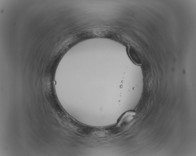 X0000077280595200611101320