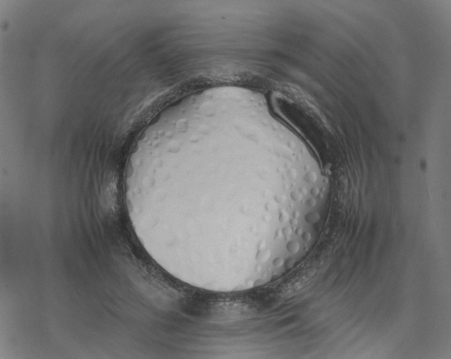 X0000077280596200611101320