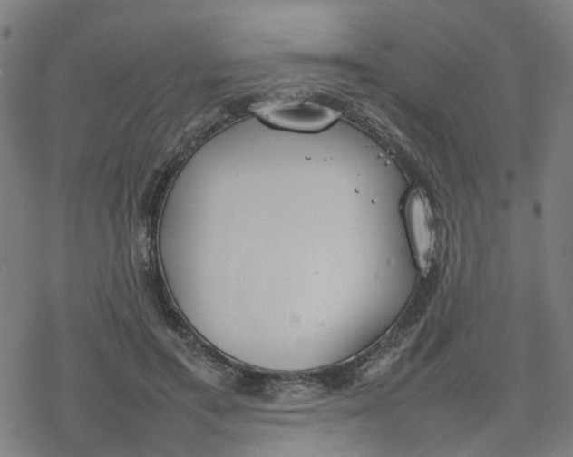 X0000077280597200611101320