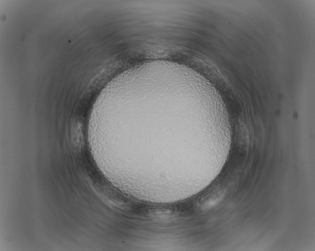 X0000077280598200611101320