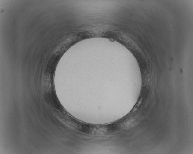 X0000077280599200611101320