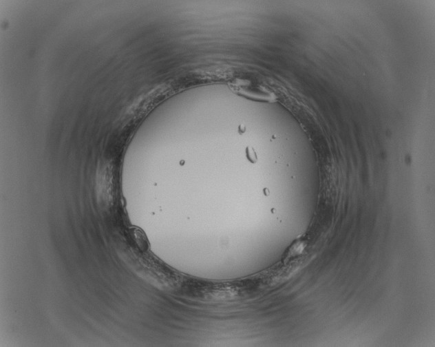 X0000077280600200611101320