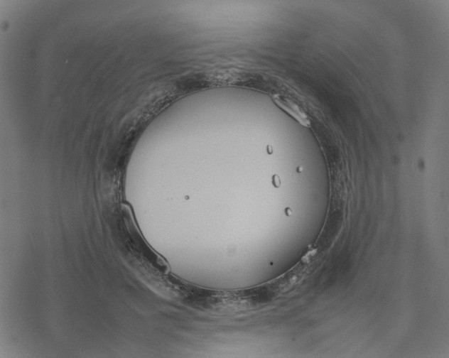 X0000077280601200611101320