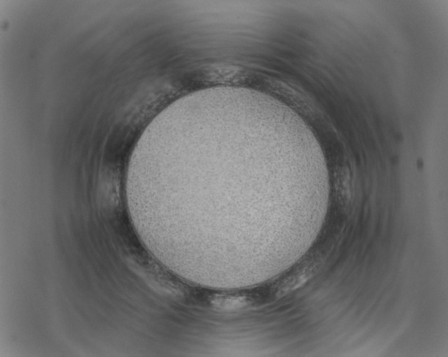 X0000077280602200611101320