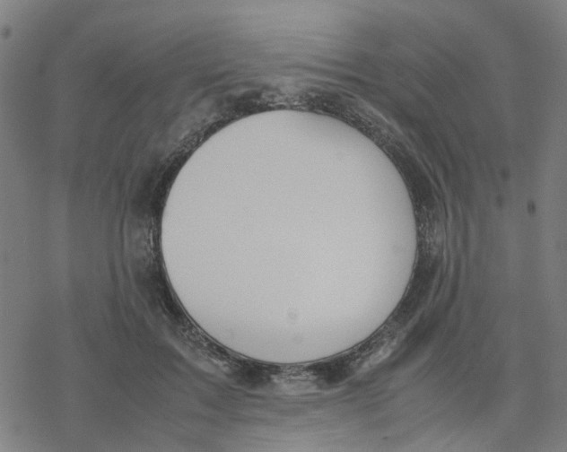 X0000077280603200611101320