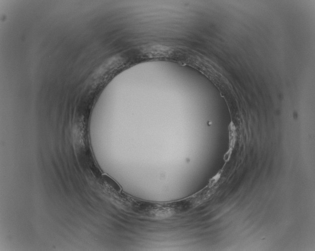 X0000077280604200611101320