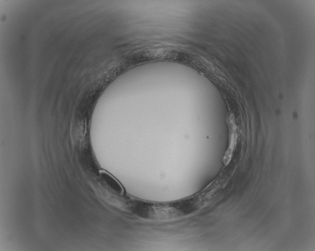 X0000077280605200611101320