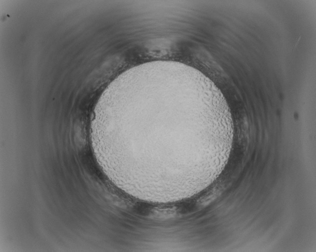 X0000077280606200611101320