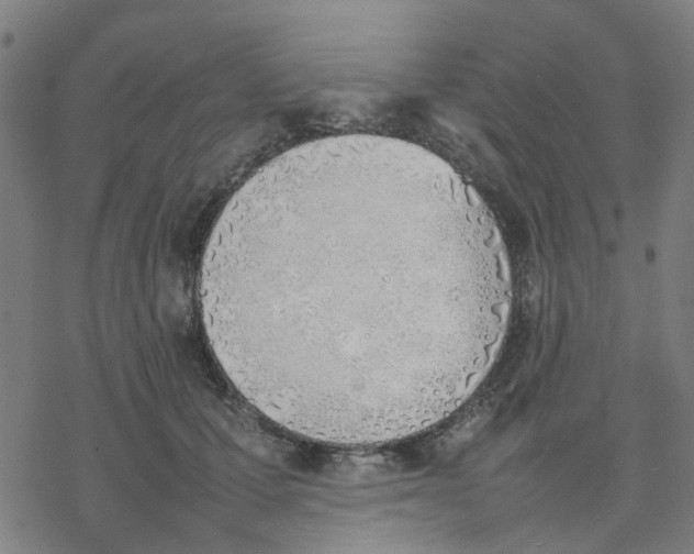 X0000077280607200611101319