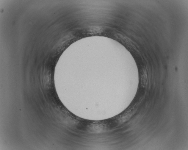 X0000077280608200611101319