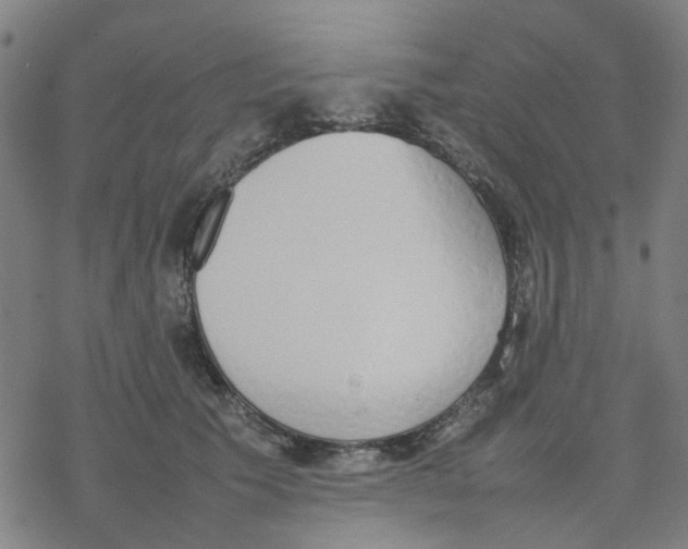 X0000077280609200611101319