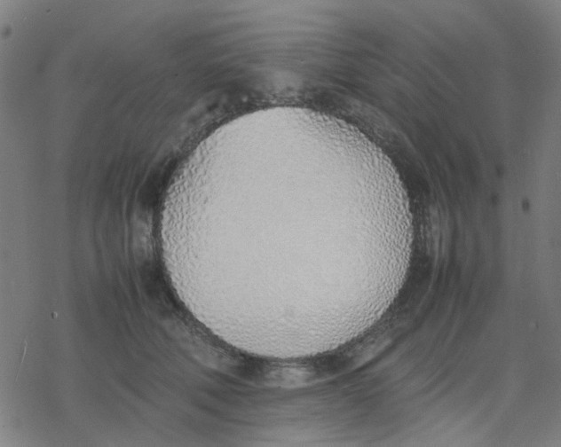 X0000077280610200611101319